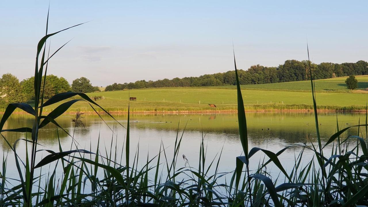 Nasz Debowiec - Dom Dla 15 Osob, Sauna, Widok Na Staw, Wielka Dzialka Esterno foto